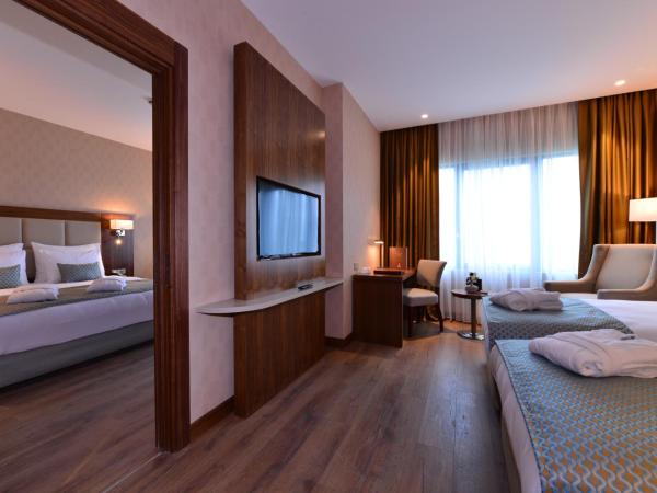 Clarion Hotel Istanbul Mahmutbey : photo 5 de la chambre chambre double - non-fumeurs