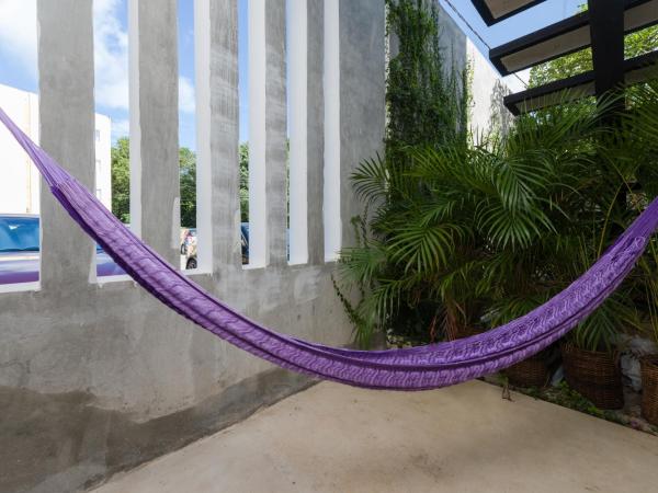 Stay Tropical : photo 3 de la chambre studio double deluxe