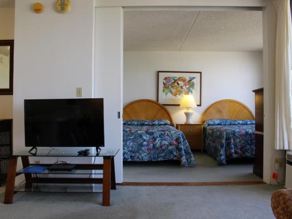 PonoAloha : photo 6 de la chambre appartement - vue sur mer