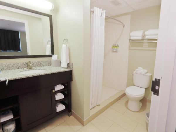 Holiday Inn Express Pittsburgh West - Greentree, an IHG Hotel : photo 2 de la chambre suite lit king-size avec canapé-lit