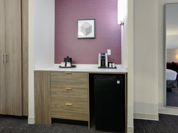 Crowne Plaza Hotel Dallas Downtown, an IHG Hotel : photo 6 de la chambre chambre lit queen-size pour personnes à mobilité réduite avec douche accessible en fauteuil roulant - non-fumeurs