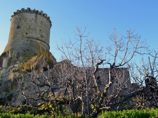 L'Agrumeto : photo 3 de la chambre chambre deluxe