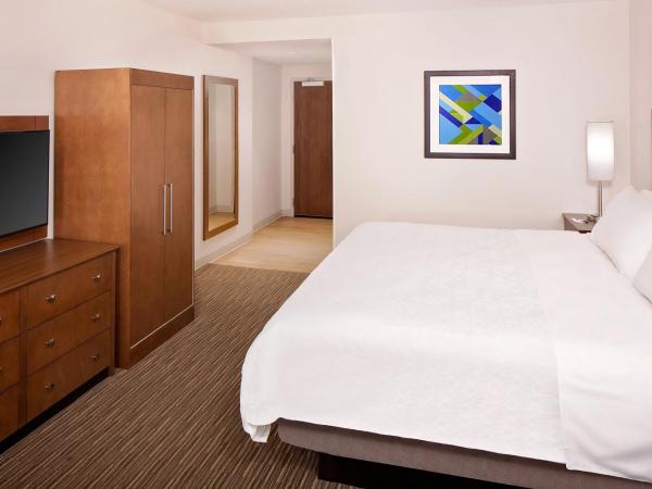 Holiday Inn Express Hotel & Suites Austin Downtown - University, an IHG Hotel : photo 2 de la chambre chambre lit king-size standard