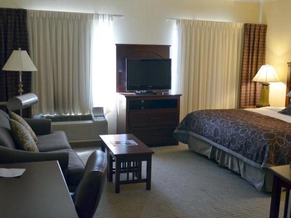 Staybridge Suites San Antonio Sea World, an IHG Hotel : photo 2 de la chambre suite king studio avec canapé-lit