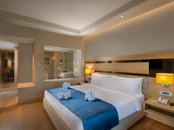 Holiday Inn Agra MG Road an IHG Hotel : photo 9 de la chambre suite lit king-size