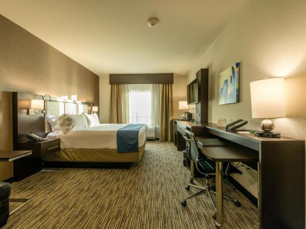 Holiday Inn Austin Airport, an IHG Hotel : photo 3 de la chambre chambre lit king-size standard