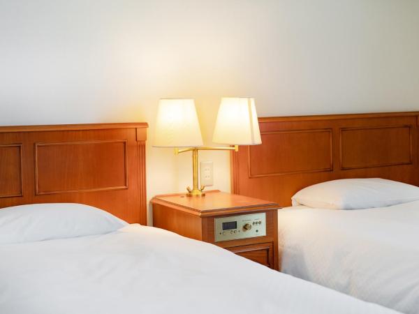 Plaza Hotel Premier : photo 2 de la chambre chambre lits jumeaux - fumeurs