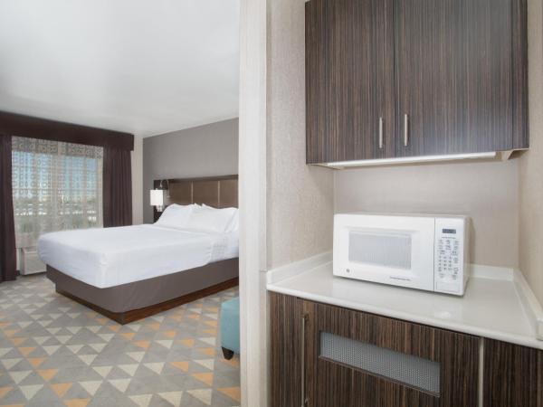 Holiday Inn Colorado Springs - Airport, an IHG Hotel : photo 3 de la chambre chambre lit king-size avec douche accessible en fauteuil roulant - adaptée aux personnes à mobilité réduite