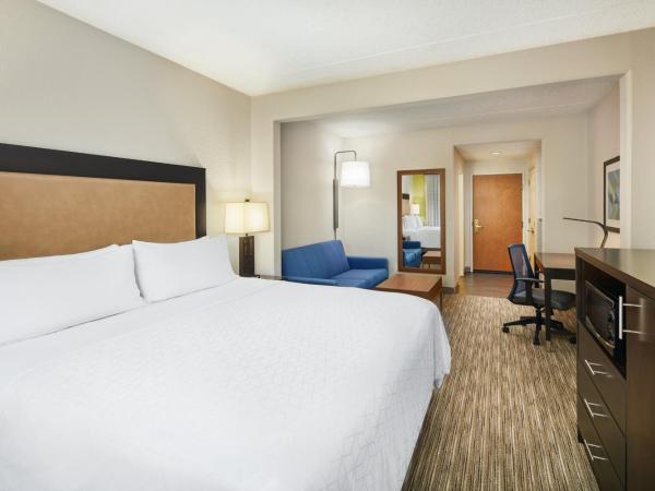 Holiday Inn Express & Suites Jacksonville South East - Medical Center Area, an IHG Hotel : photo 5 de la chambre chambre lit king-size avec canapé-lit