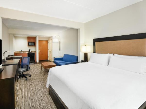 Holiday Inn Express & Suites Jacksonville South East - Medical Center Area, an IHG Hotel : photo 4 de la chambre suite lit king-size