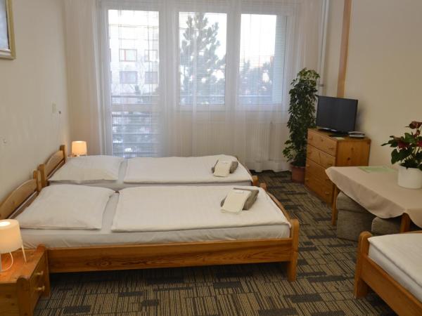 Volha : photo 3 de la chambre chambre triple avec salle de bains commune