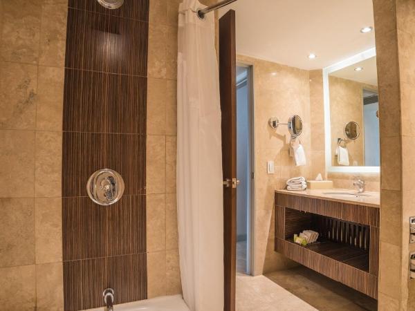 Holiday Inn Guadalajara Select, an IHG Hotel : photo 6 de la chambre standard king room with shower bath