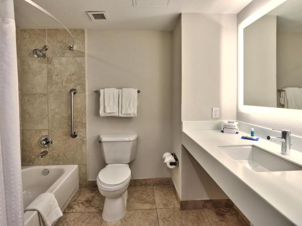 Holiday Inn Express & Suites Albuquerque Historic Old Town, an IHG Hotel : photo 5 de la chambre chambre standard