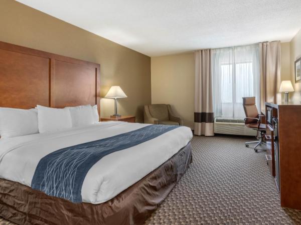 Comfort Inn South : photo 9 de la chambre chambre lit king-size