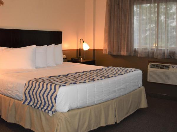 SureStay Hotel by Best Western Portland City Center : photo 4 de la chambre chambre lit king-size - rez-de-chaussée