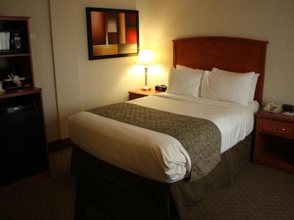 Ramada by Wyndham Edmonton South : photo 4 de la chambre chambre lit queen-size deluxe
