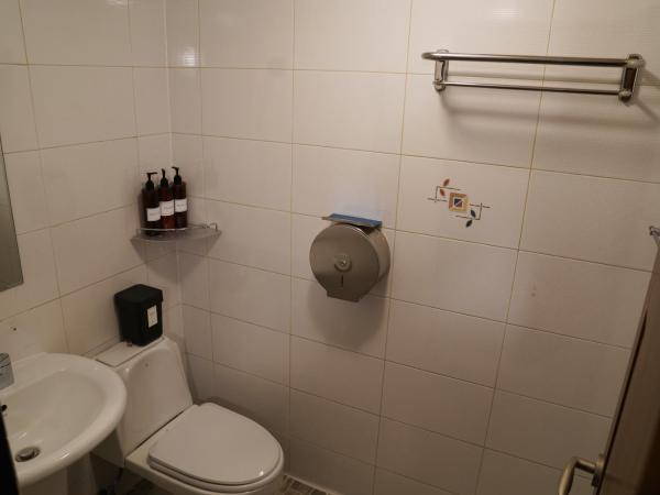 Apollo Guesthouse : photo 10 de la chambre chambre simple avec salle de bains privative