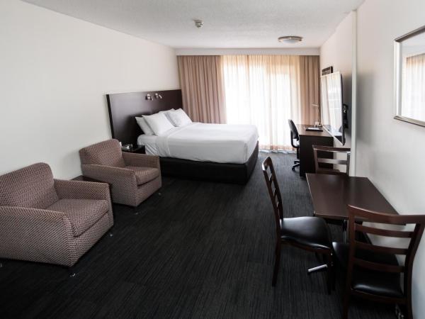 St Ives Apartments : photo 1 de la chambre studio double deluxe