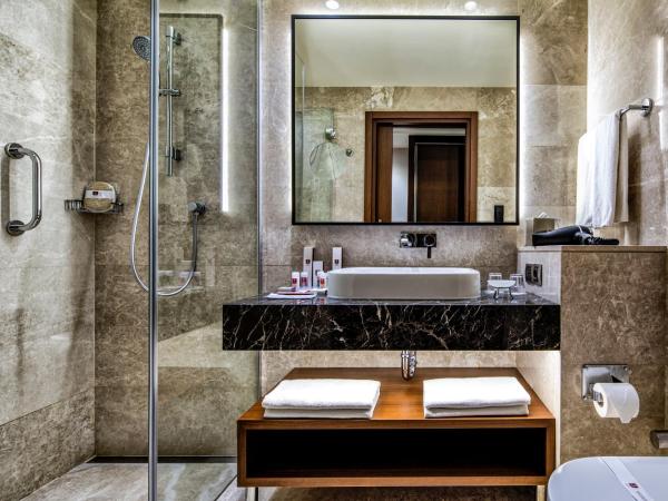 Clarion Hotel Golden Horn : photo 4 de la chambre chambre double standard avec vue sur atrium