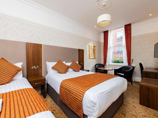 Castle Hotel : photo 8 de la chambre chambre lits jumeaux