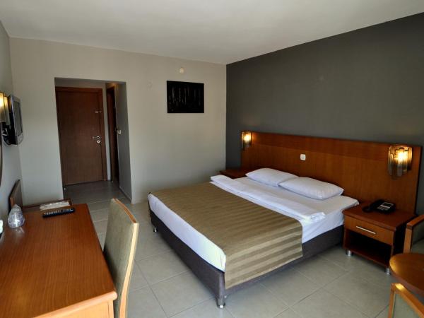 Surtel Hotel : photo 10 de la chambre chambre double standard