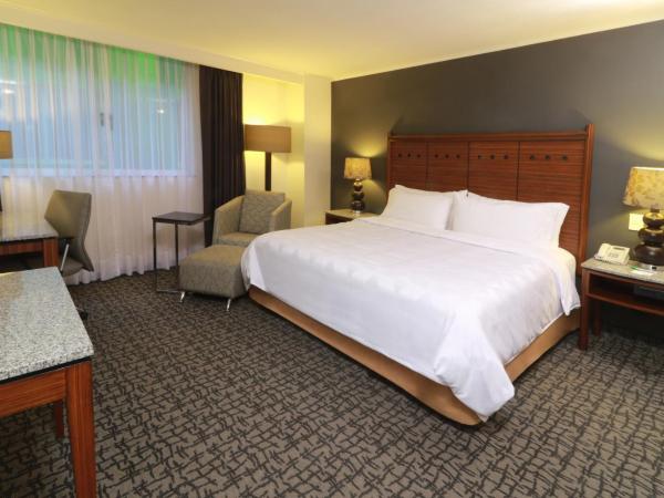 Holiday Inn Mexico City - Trade Center, an IHG Hotel : photo 2 de la chambre chambre lit king-size standard