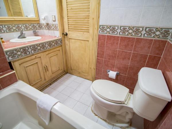 Suites Flamboyanes : photo 10 de la chambre chambre double avec kitchenette