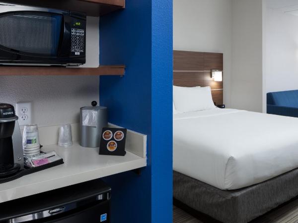 Holiday Inn Express & Suites - Orlando At Seaworld, an IHG Hotel : photo 3 de la chambre chambre lit king-size standard