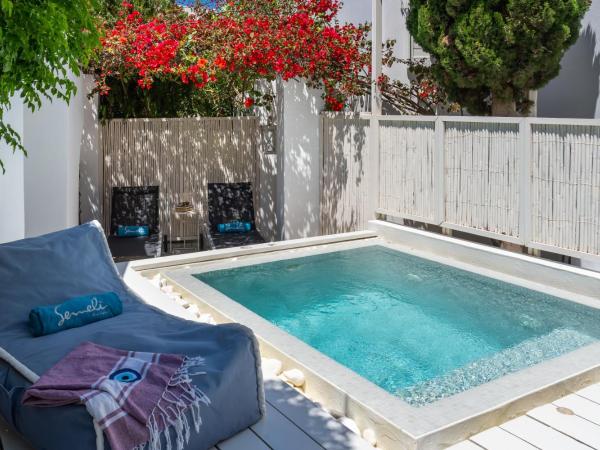 Semeli Hotel Mykonos : photo 1 de la chambre suite jardin