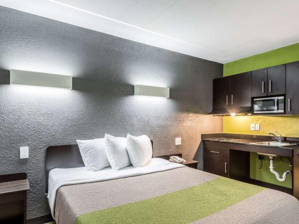 Studio 6-Indianapolis, IN : photo 1 de la chambre chambre lit queen-size accessible aux personnes à mobilité réduite – non-fumeurs