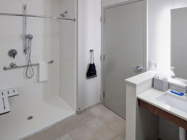 Holiday Inn Express & Suites - Orlando At Seaworld, an IHG Hotel : photo 2 de la chambre standard king room with roll-in shower - communications access