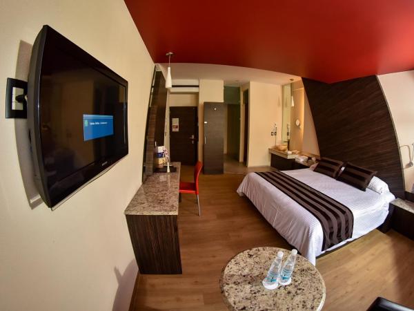 La Moraleja Love hotel : photo 2 de la chambre chambre lit king-size