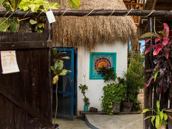 Hostal Cha Cha Cha : photo 1 de la chambre chambre double Économique