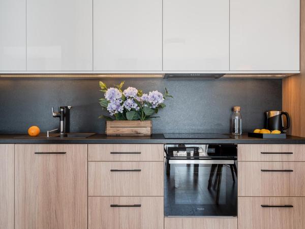 Art Apart nad Oławą Wrocław : photo 2 de la chambre appartement 1 chambre