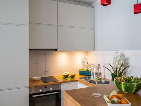 Art Apart nad Oławą Wrocław : photo 3 de la chambre studio