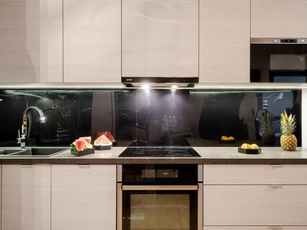 Art Apart nad Oławą Wrocław : photo 2 de la chambre appartement 1 chambre