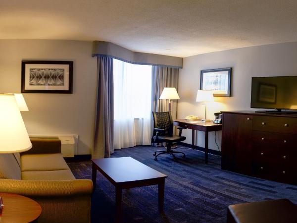 Holiday Inn Ottawa East, an IHG Hotel : photo 2 de la chambre suite 1 chambre avec canapé-lit