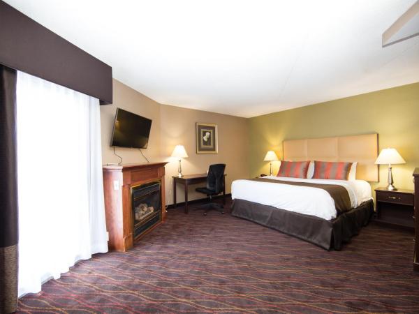 Best Western Plus Ottawa Kanata Hotel and Conference Centre : photo 6 de la chambre chambre lit king-size exécutive avec cheminée