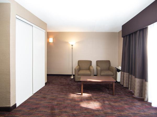 Best Western Plus Ottawa Kanata Hotel and Conference Centre : photo 8 de la chambre chambre lit king-size exécutive avec cheminée