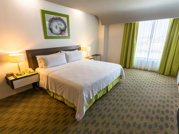 Holiday Inn Queretaro Zona Krystal, an IHG Hotel : photo 3 de la chambre chambre standard lit king-size - vue sur atrium