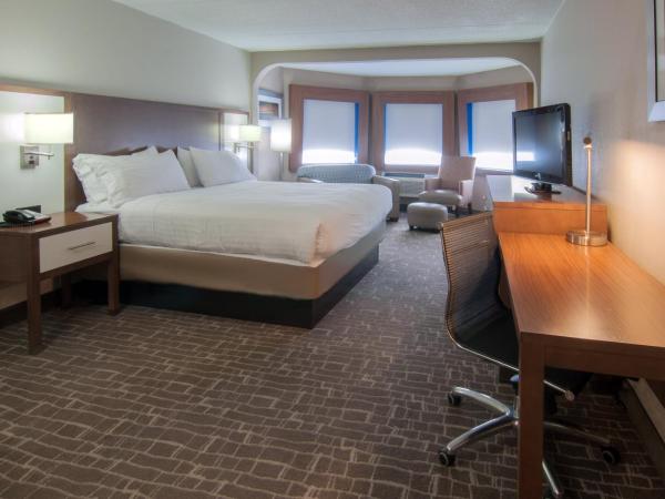 Holiday Inn Express & Suites Nashville-I-40 & I-24(Spence Lane), an IHG Hotel : photo 2 de la chambre suite lit king-size