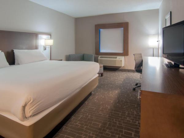 Holiday Inn Express & Suites Nashville-I-40 & I-24(Spence Lane), an IHG Hotel : photo 2 de la chambre chambre lit king-size standard