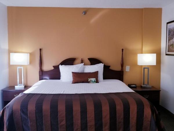 Wingate by Wyndham Airport - Rockville Road : photo 3 de la chambre studio king suite - non smoking