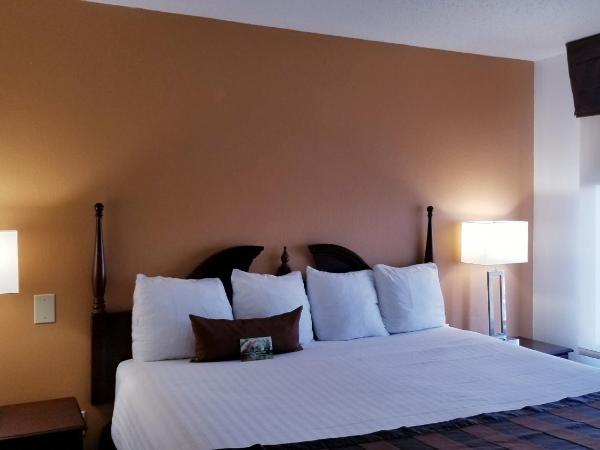 Wingate by Wyndham Airport - Rockville Road : photo 4 de la chambre one-bedroom king suite - non smoking