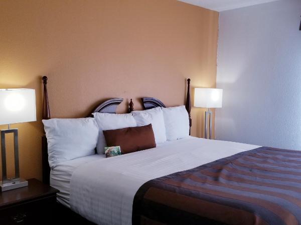 Wingate by Wyndham Airport - Rockville Road : photo 2 de la chambre chambre lit king-size avec canapé-lit - non-fumeurs