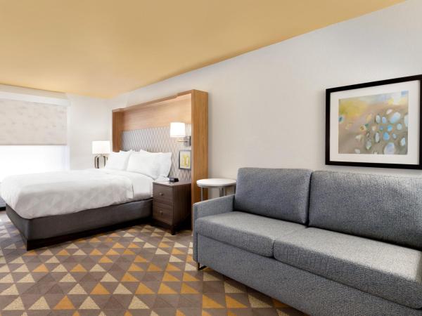 Holiday Inn Houston Intercontinental Airport, an IHG Hotel : photo 8 de la chambre chambre standard