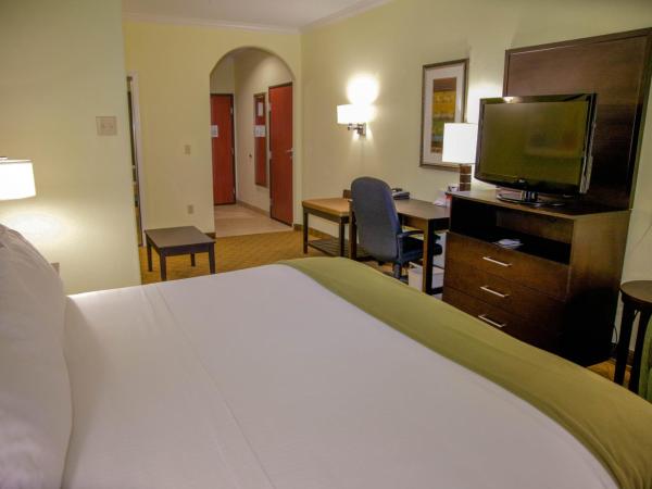 Holiday Inn Express Hotel & Suites Houston North Intercontinental, an IHG Hotel : photo 8 de la chambre suite lit king-size – non-fumeurs