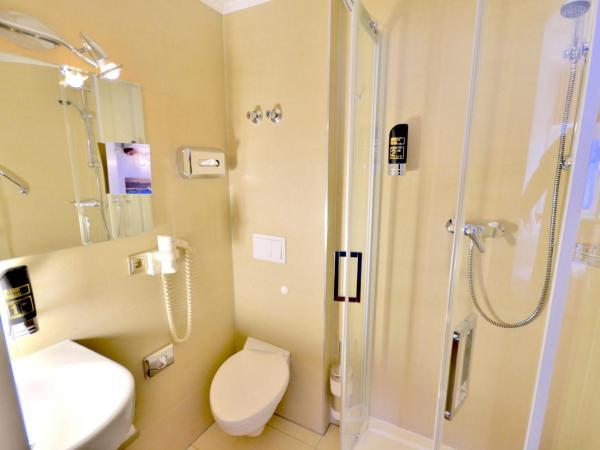 Hotel Alt-Connewitz : photo 10 de la chambre chambre simple confort