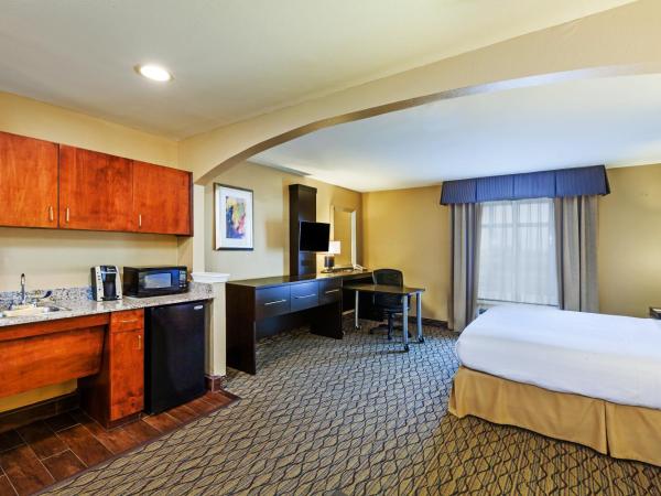 Holiday Inn Express Hotel & Suites Houston-Downtown Convention Center, an IHG Hotel : photo 3 de la chambre suite junior avec un lit king-size