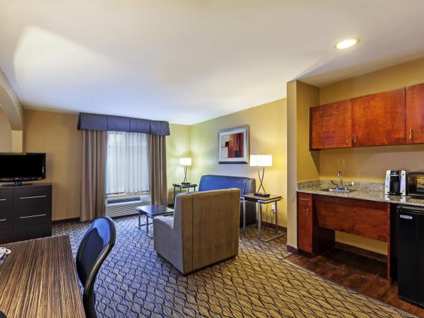 Holiday Inn Express Hotel & Suites Houston-Downtown Convention Center, an IHG Hotel : photo 1 de la chambre suite junior avec un lit king-size